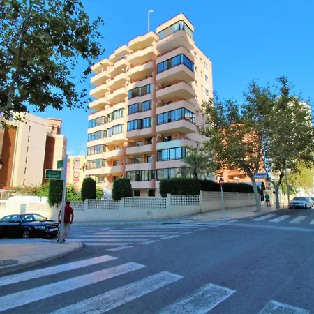 Cadiz I - Arena Benidorm